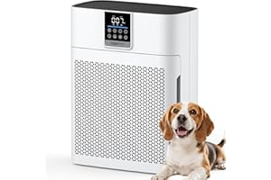 Air Purifiers for Home Large Room up to 2180 Sq Ft, DBFIT HEPA Air Purifier with Washable Nylon Pre-Filter, PM2.5 Air Quality Sensor, Air Cleaner for Pet Hair, Odor, Smoke, Dust, Pollen AP2410