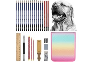 Daerthotk Professional Drawing Sketching Pencil 27 Pack Artist Pencils, Ideal for Drawing Sketching Shading Art Draw Pencil Supplies Kit,Graphite Pencils,Charcoal Pencils for Artists Adults Beginners