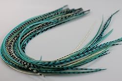 5 Feathers In Total 7"-10" in Length 5 Beautiful