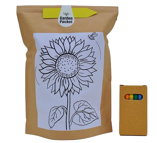 Kit Educo Girasol: Amazon.es: Jardín