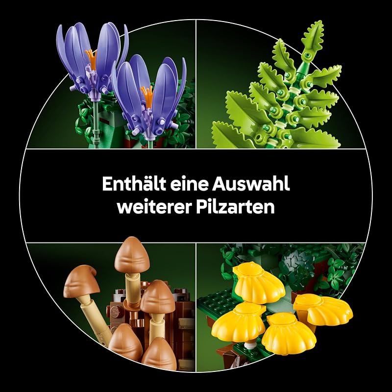 Botanicals Waldpilze 11505
