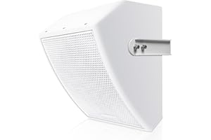Sound Town CARME Series 8" Coaxial 2-Way Professional PA DJ Stage Monitor Speaker, White with U Mounting Bracket, Birch Plywo