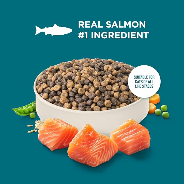 NUTRISH RACHAEL RAY DRY CAT FOOD REAL SALMON & BROWN RICE RECIPE, 14 LB. BAG