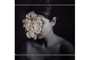 Hybrid Photography