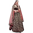 TRENDMALLS Women's Velvet Sequin Embroidery Lehenga Choli with Dupatta | Bridal Party Stylish Wedding Lehenga Choli for women