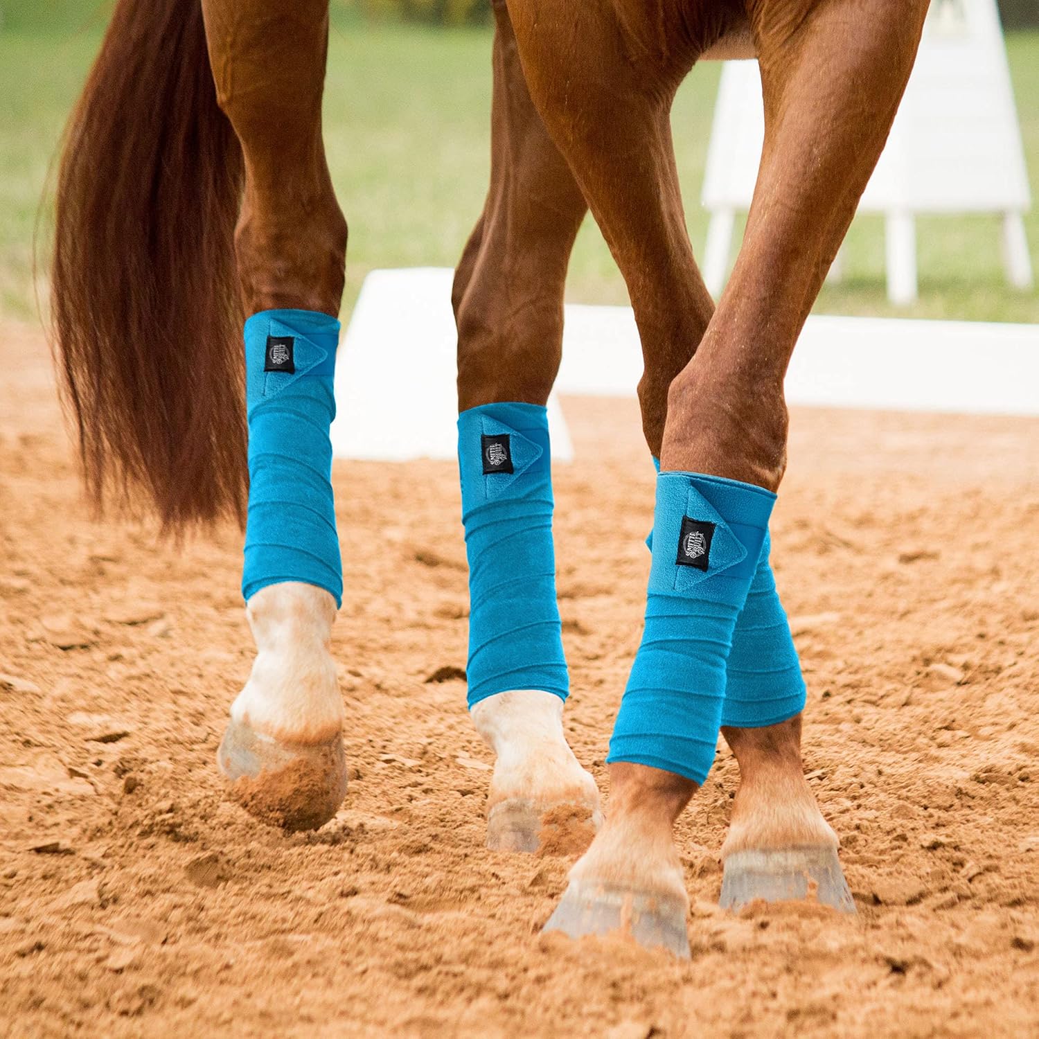 SmithBuilt Equine Fleece Polo Wraps, Turquoise - (Set of 4) Horse Leg Bandages : Pet Supplies