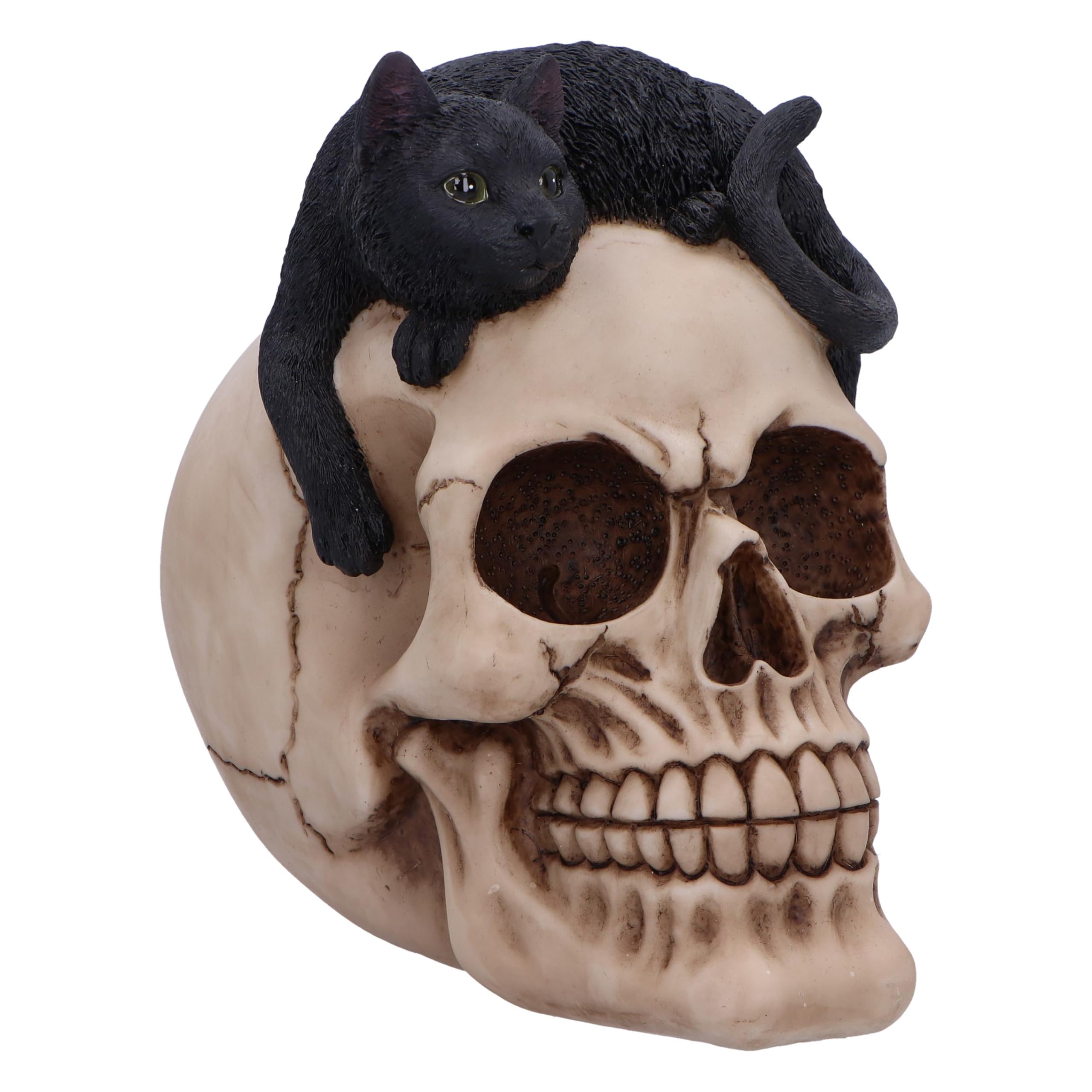Nemesis Now Skull Figurine – Resin Skull Ornament, Hand-Painted Gothic Fantasy Decor, Mythical Collector Display Piece - Forever Friend