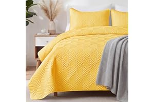 Whale Flotilla Elegant Extra Soft Quilts Queen Size, 3-Piece Lightweight Modern Geometric Full Queen Quilt Bedding Sets Bedsp