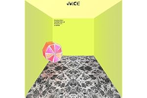 Medeski Scofield Martin & Wood's Juice