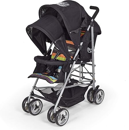 twin buggy