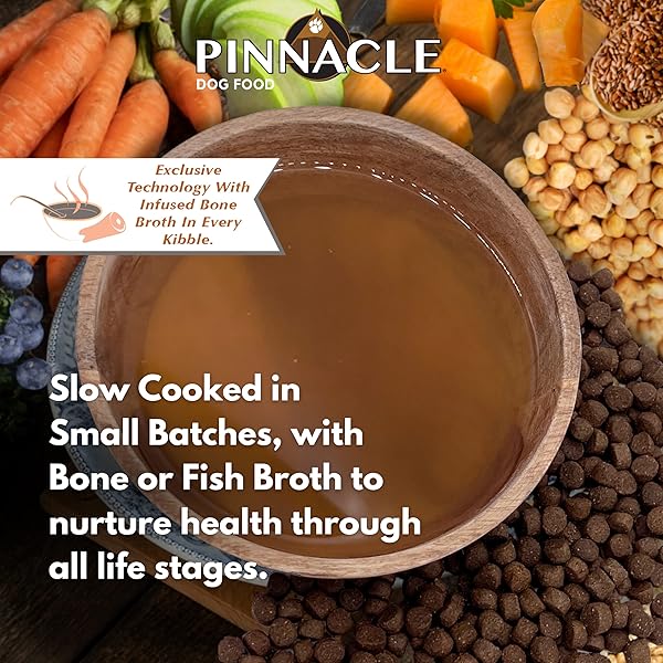 PINNACLE PET PINNACLE TROUT & PUMPKIN DRY DOG FOOD 4 LB, INFUSED WITH BROTH