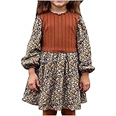 SOLY HUX Toddler Girl's Fall Floral Dress Long Sleeve A Line Cute Casual Short Dresses