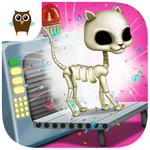 Cat Hair Salon Birthday Party Kitty Haircut Care