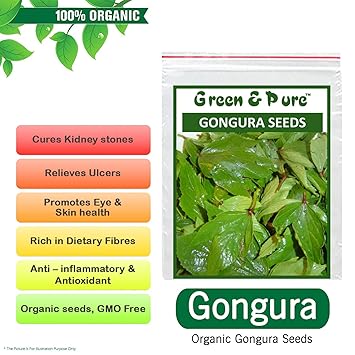 Green and Pure - High Yield Organic Vegetable Seeds - Gongura for Kitchen / Terrace / Home Garden