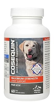 Cosequin Nutramax Ds Chewables Plus MSM, 60 Ct