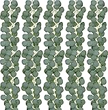 joyhalo 5 Pack Artificial Eucalyptus Garland