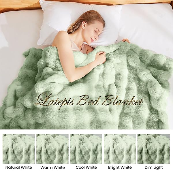 LATEPIS SOFT FAUX FUR BLANKET BUBBLE TWIN SIZE COMFY BLANKET FOR BED FUZZY COZY THICK BLANKETS FOR COUCH BEDROOM FURRY WARM BLANKETS FOR ALL SEASONS LUXURY BED THROW 60X80 INCH SAGE GREEN, 860GSM