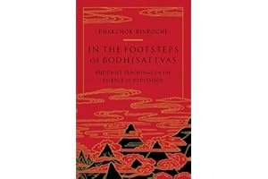 In the Footsteps of Bodhisattvas: Buddhist Teachings on the Essence of Meditation