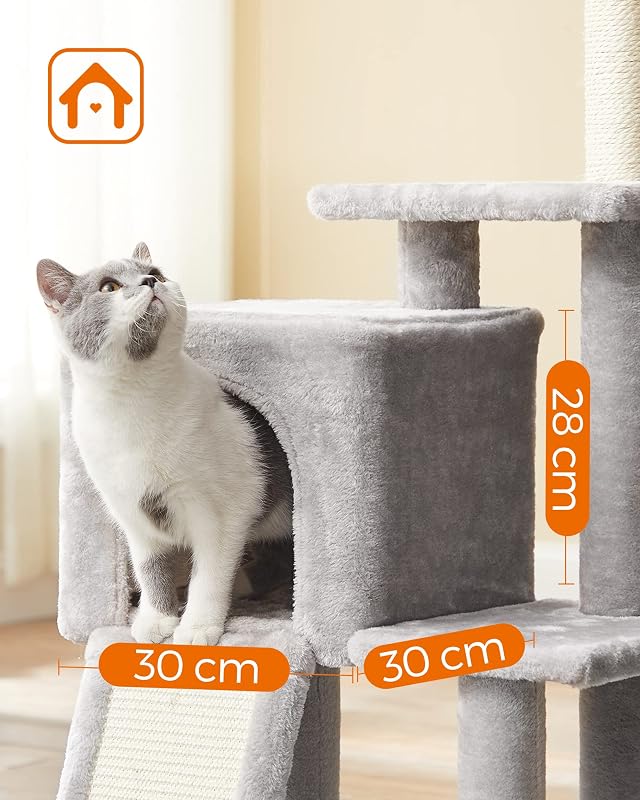 Arbre à Chat, Tour de Jeux, Chaton