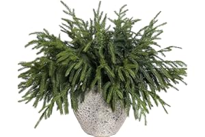 YXZZWL 16 Pcs Christmas Norfolk Pine Branches, 18 Inch Real Touch Artificial Norfolk Pine Branch Faux Cedar Pine Stem Fake Greenery Picks for Vase DIY Garland Wreath Home Decoration