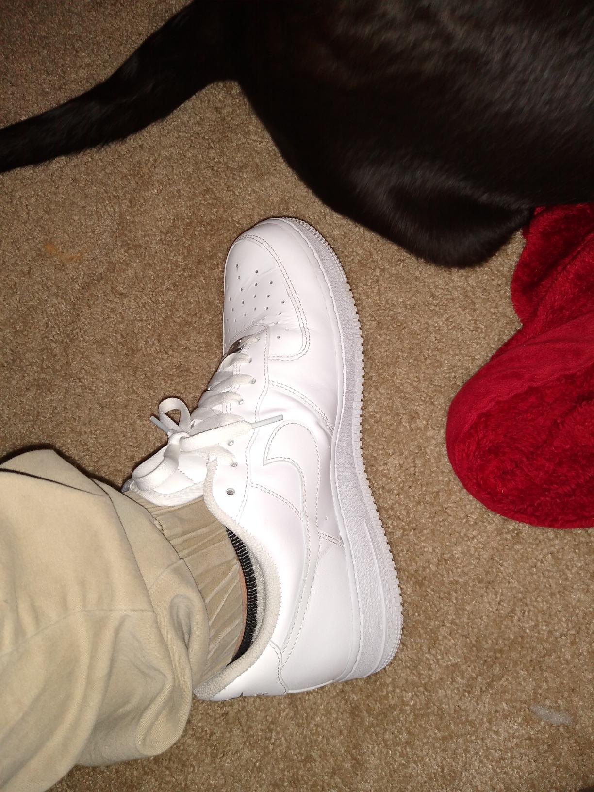  Air Jordans  1 Low  ' Triple White ' 553558-112 photo review