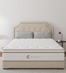 KOANTTI Queen Size Mattress,10 Inch Memory Foam