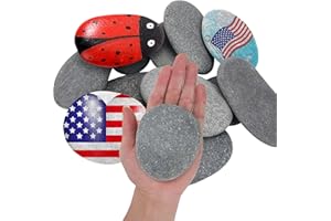 Lulonpon 20 Pieces Large Painting Rocks, 3-4 Inches Rocks for Painting,Smooth Rocks Bulk,Flat Rocks,Natural Smooth Surface Arts and Crafting Painting Supplies