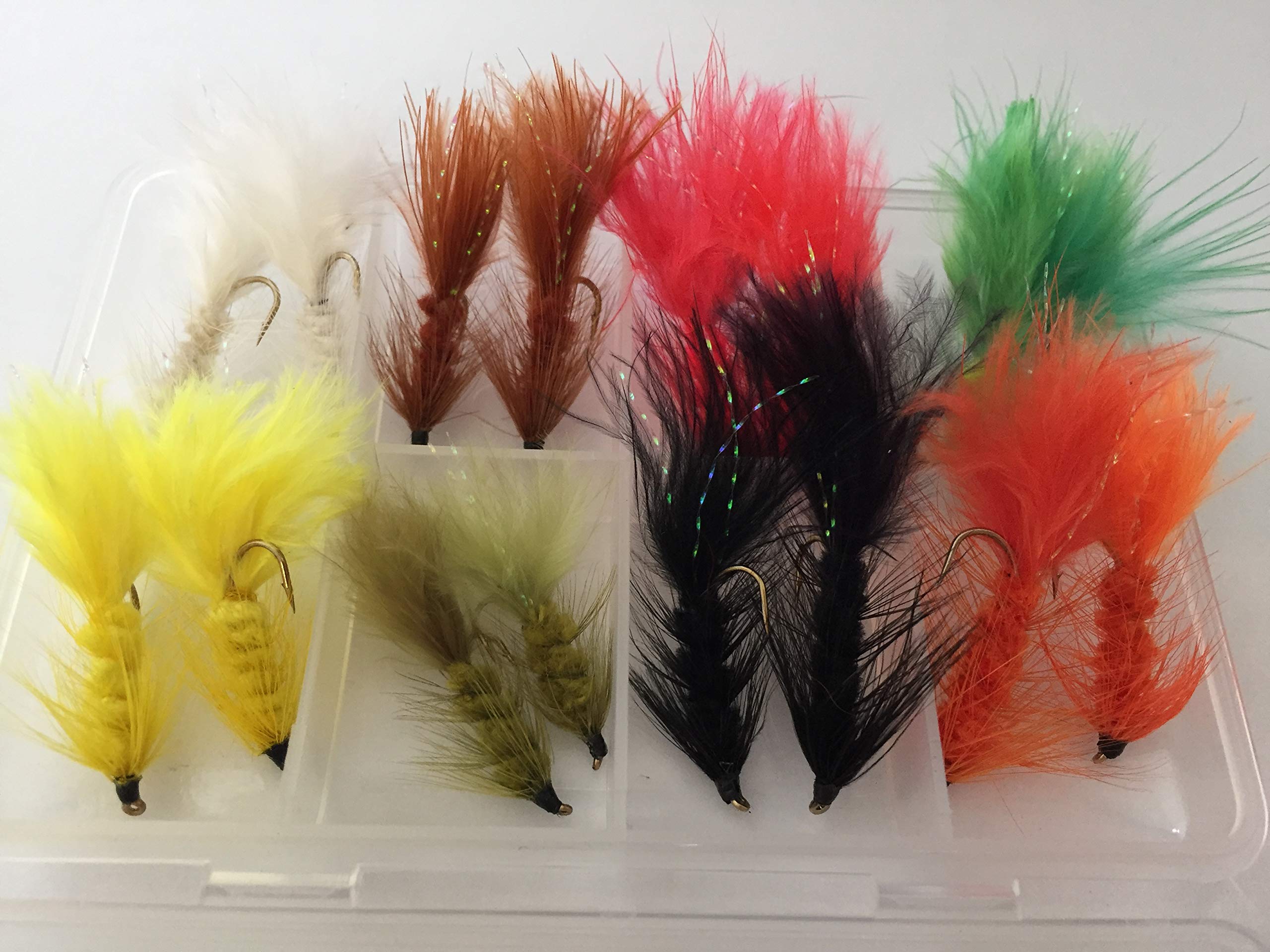 Fly Fishing WOOLLY BUGGER Set of 16 wooly buggers with FREE Clip shut Fly Box #337,