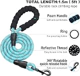 haapaw Dog Harness and Lead Set No Pull Reflective Step-in Adjustable Harness view 3