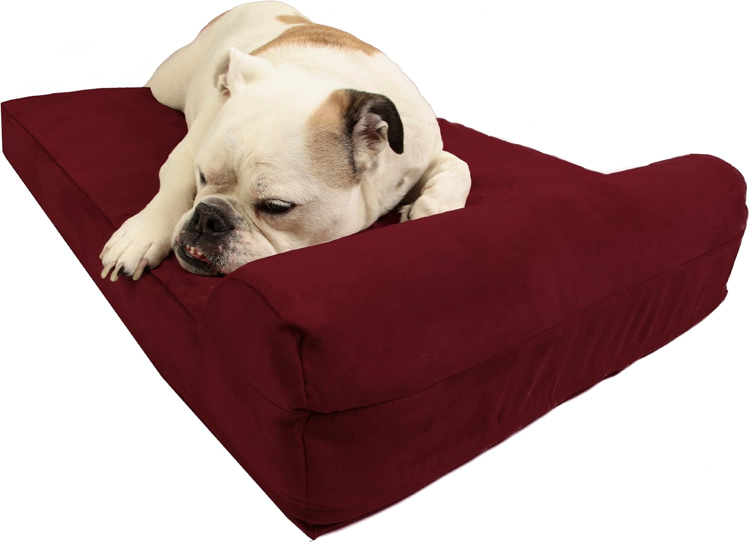 pet airways airlines