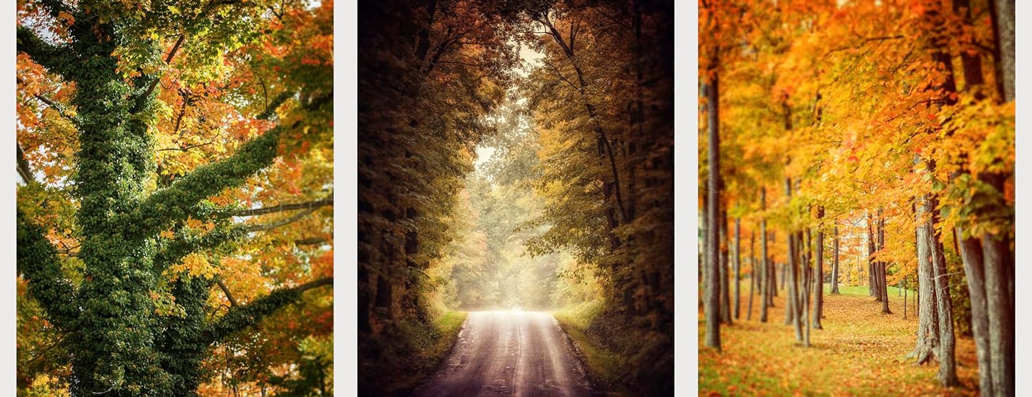 Photographs - Custom Order for Marlene