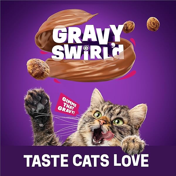 PURINA FRISKIES DRY CAT FOOD GRAVY SWIRL’D WITH FLAVORS OF CHICKEN, SALMON AND GRAVY – 3.15 LB. BAG