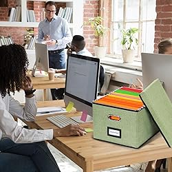 EOOUT 1 Pack File Organizer Box File Filing Box