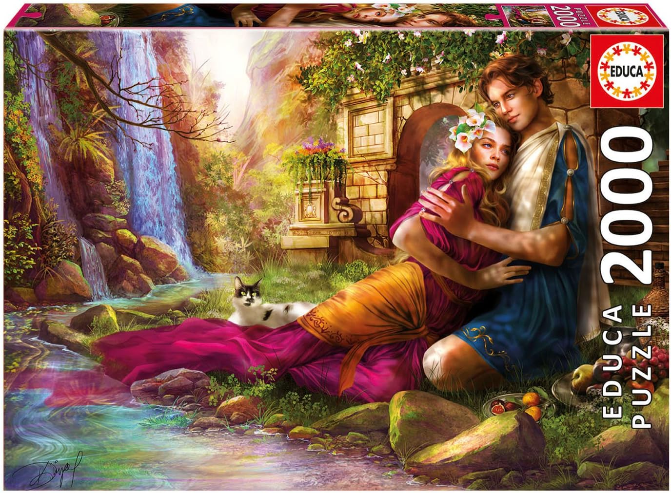 puzzle educa 2000