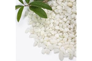 RUOJAS 5 lb Jade Pebbles for Indoor Plants, 3/8 Inch Polished Decorative Pebbles for Vase, Bamboo, Succulent, Garden Landscape Decoration River Stone