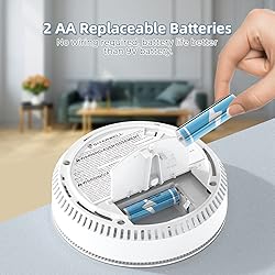 SITERWELL 2.4G WiFi Smoke Detector Carbon Monoxide