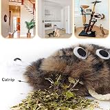 Aidiyapet Door Hanging Cat Toy Catnip Interactive Self-Play Grey view 2