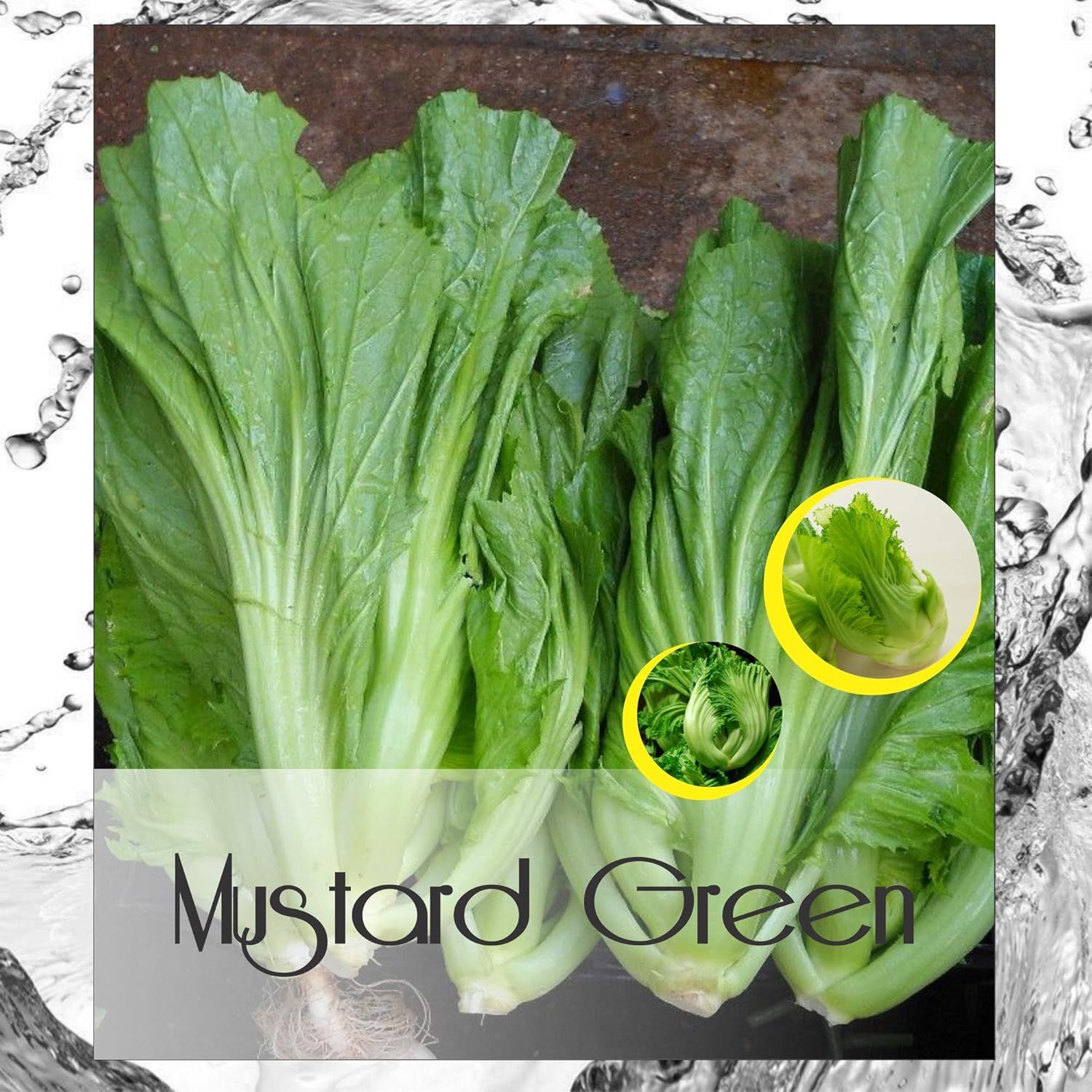 Mustard Green Seed(s) - Green Mustard - Brown Mustard - Chinese Mustard - Indian Mustard - Leaf Mustard - Oriental Mustard - Vegetable Mustard Seed(s) for Home Garden Planting by HAVIPRO (300)