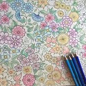 MATITA NORIS STAEDTLER - DALMASSO 24
