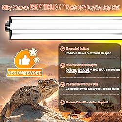 REPTIDLDB 39W T5 10.0 UVB Reptile Light Fixture