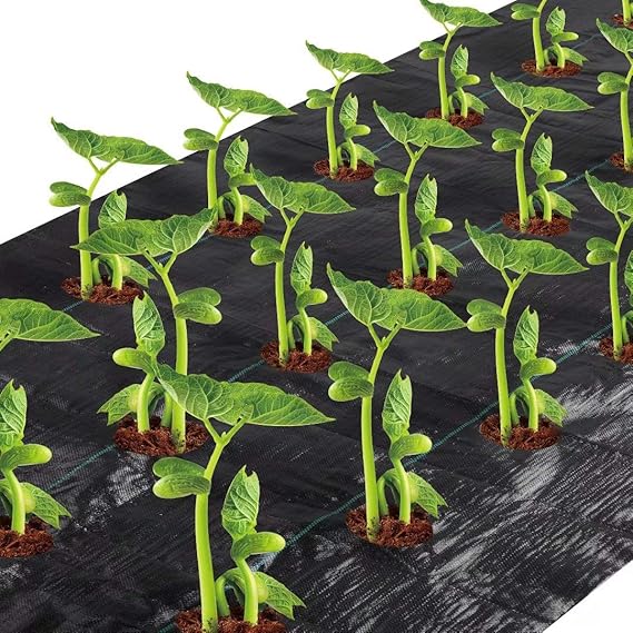 Amazon.com : Agfabric Easy-Plant Weed Block for Raised Bed Outdoor