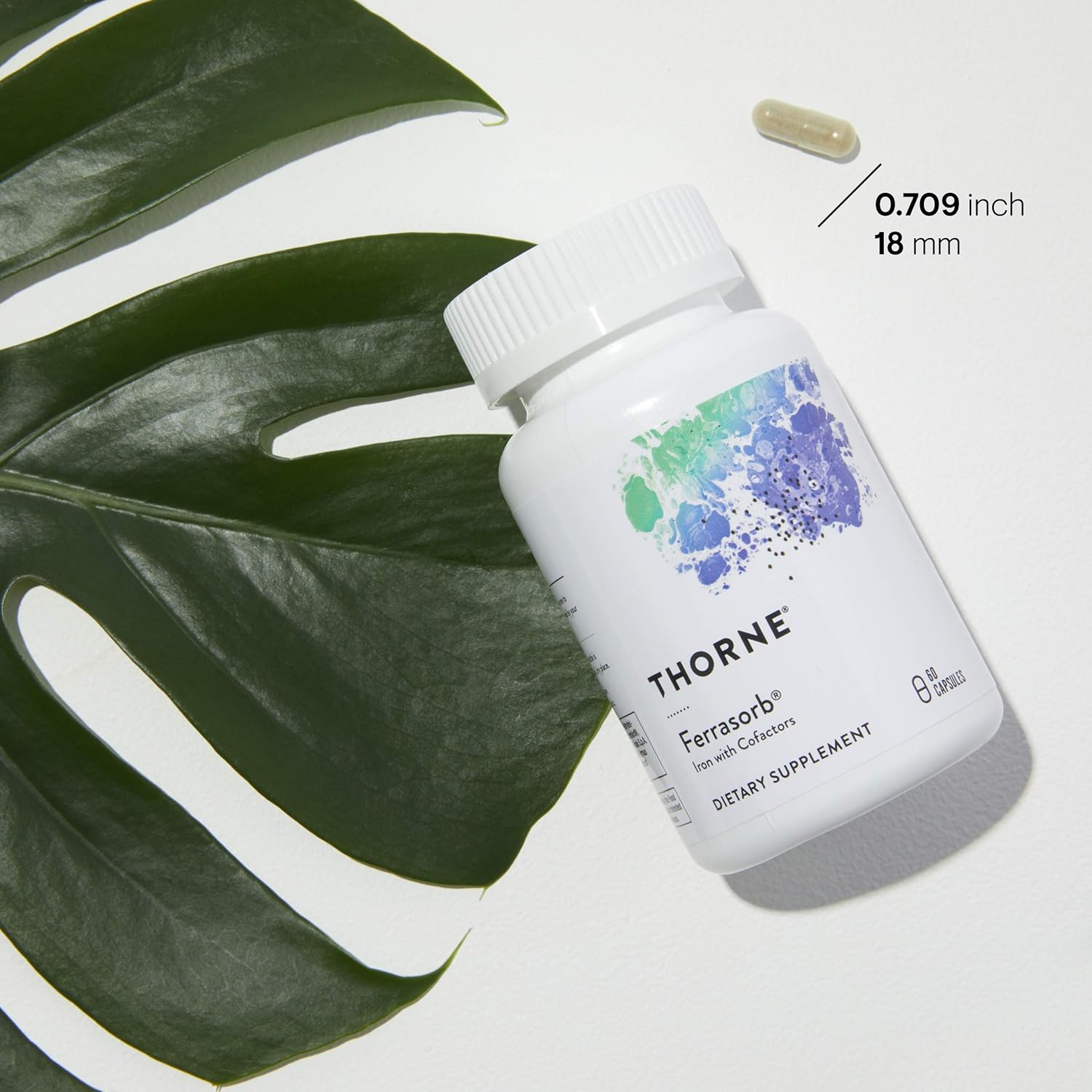 Thorne Research - Ferrasorb - Complete Blood-Building Formula with Iron, Folate, and B Vitamins - 60 Capsules : Health & Personal Care