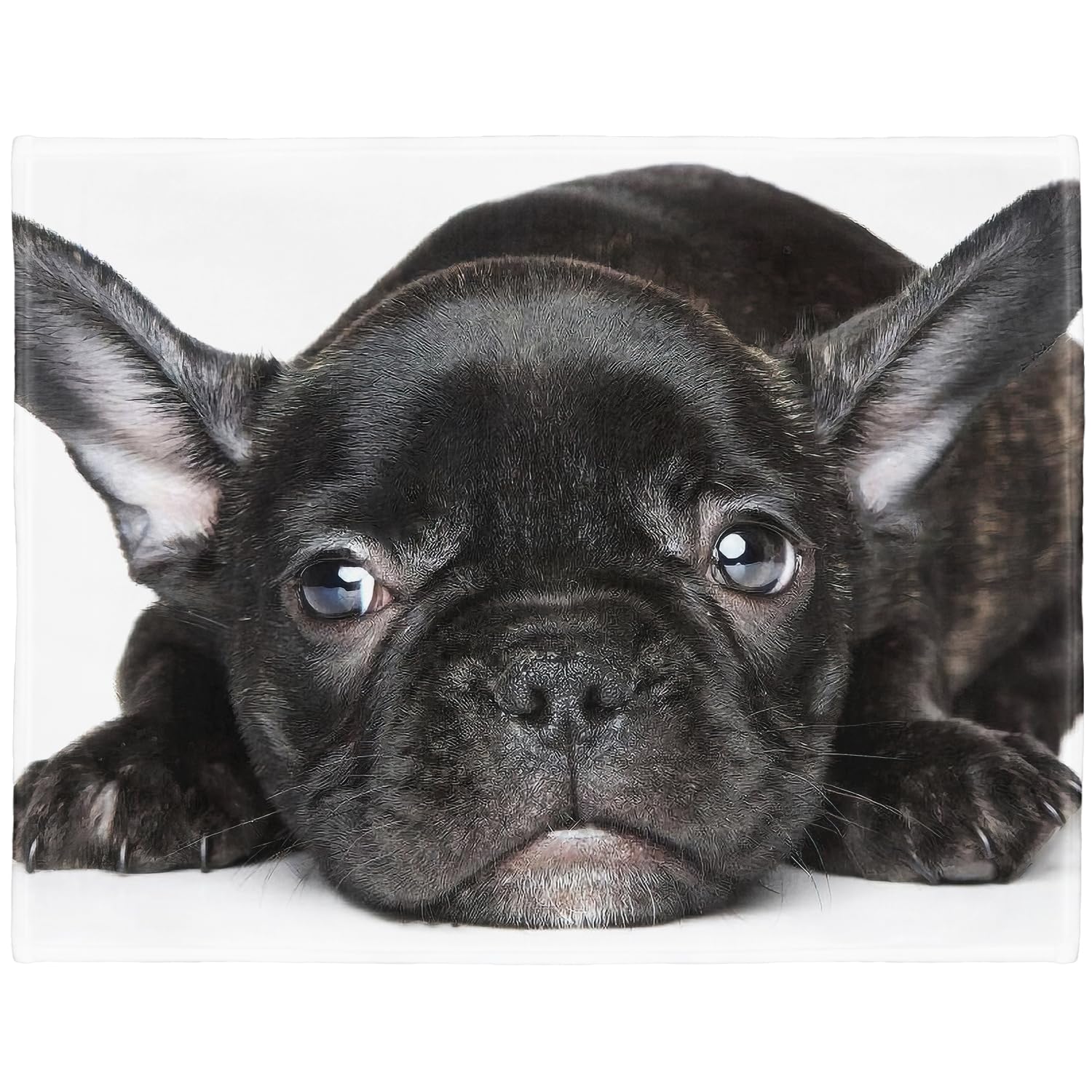 YISUMEI - Soft Fleece Blanket - Black French Bulldog, 100 x 150 cm Throw Suitable for Sofa or Bed