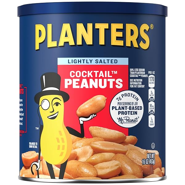 PLANTERS DRY ROASTED PEANUTS, PLANT-BASED PROTEIN, LIGHTLY SALTED, PEANUT SNACK, 16 OZ JAR