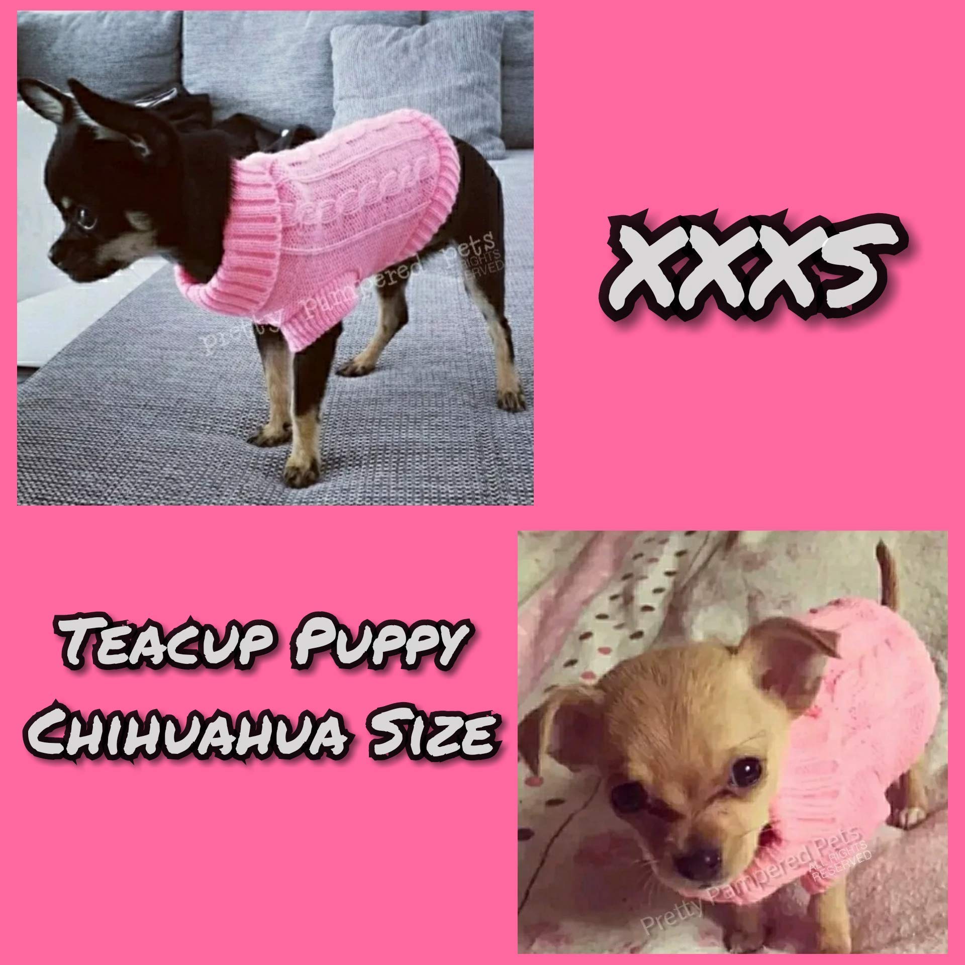 chihuahua clothes uk