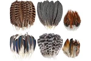 FANTASYON 60pcs Natural Turkey Feathers, Pheasant Feathers, Spotted Feathers, Duck Feathers, Swimming Feathers and Black Heart Tip Feathers, 6 Styles Feathers for Crafts DIY Hat Floral Arrangements Decorations