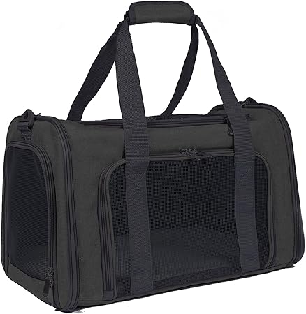 cat carrier for 15 lb cat