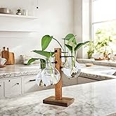 Plant Propagation Station with Acacia Wood Stand and 4 Glass Vases, Stylish Propagation Vases for Plants, Home & Garden Décor – Ideal Gift for Plant Lovers & Gardening Enthusiasts