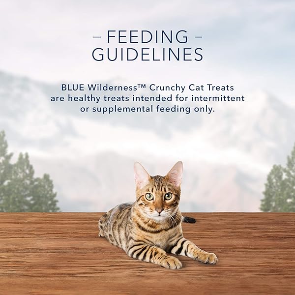 BLUE BUFFALO WILDERNESS HIGH PROTEIN CRUNCHY CAT TREATS, MADE WITH NATURAL INGREDIENTS, TASTY CHICKEN, 2-OZ BAG (PACK OF 12)