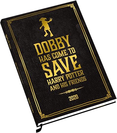 Harry Potter 2020 Calendario, Diario y caja de bolígrafos: Amazon.es: Oficina y papelería